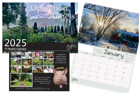 Operation Angels - 2025 Calendar